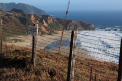 Beach through Fence